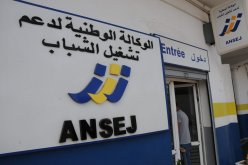 الرئيس تبون يأمر بمراجعة إستراتيجية الوكالة الوطنية لدعم تشغيل الشباب