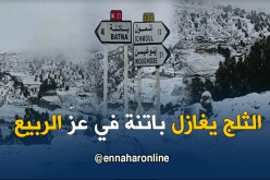 بالفيديو.. باتنة تكتسي الحلّة البيضاء في عزّ الربيع