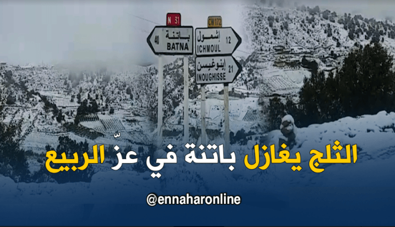 بالفيديو.. باتنة تكتسي الحلّة البيضاء في عزّ الربيع