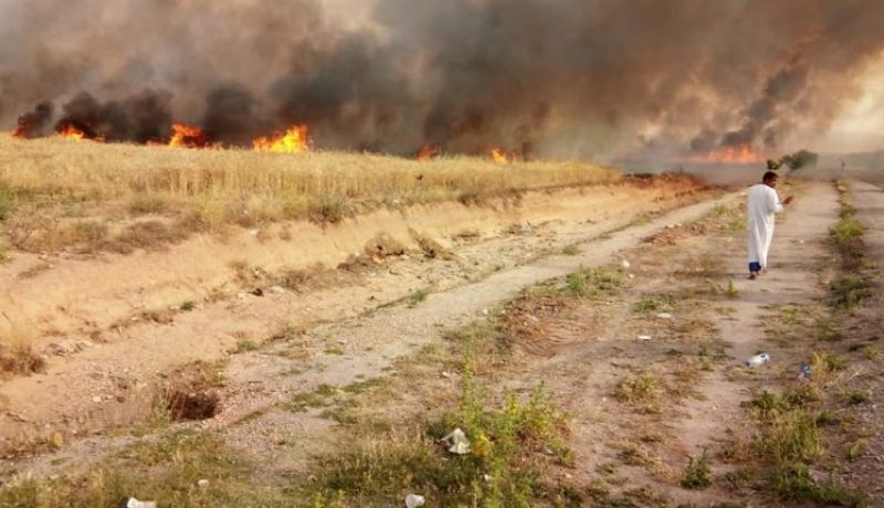 تسجيل 49 حريق خلال الـ72 ساعة الماضية بباتنة