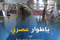 بالفيديو ..فتح مذبح بمواصفات عصرية بالبويرة