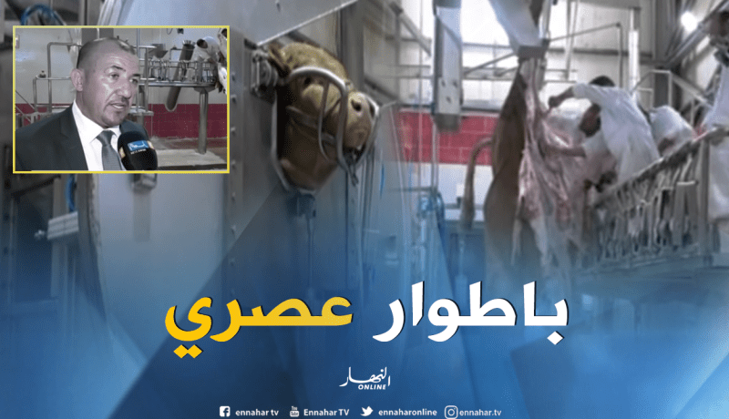 بالفيديو ..فتح مذبح بمواصفات عصرية بالبويرة