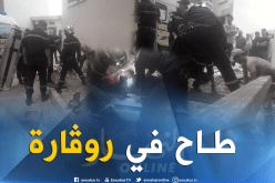 بالصور.. إنقاذ عامل بناء سقط في بالوعة بالبليدة