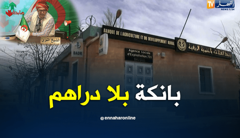 سعيدة المنكوبة.. بنك بلا دراهم