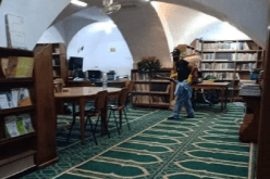 العاصمة.. تكثيف عمليات تعقيم المساجد بسيدي امحمد تحسبا لإعادة فتحها تدريجيا