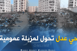 بالصور.. هكذا تحول حي “عدل” ببوسماعيل في تيبازة إلى مزبلة عمومية