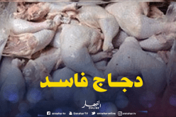 بجاية.. حجز 211 كيلغوغرام من اللحوم البيضاء الفاسدة
