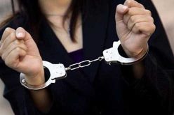 بجاية.. فتاة من بين مروجي المخدرات في قبضة الأمن