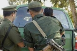 توقيف شخصين و حجز كمية من الذخيرة في بجاية