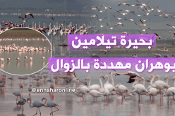 ” بحيرة تيلامين “..موقع طبيعي مهدد بالزوال!!