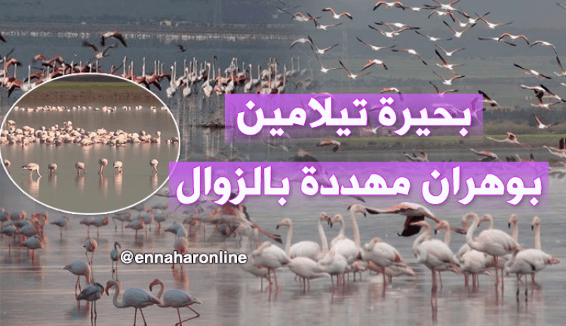 ” بحيرة تيلامين “..موقع طبيعي مهدد بالزوال!!