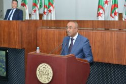 بدوي: هناك 50 رئيسة دائرة عبر الوطن منهن 15 تم ترقيتهم في الحركة الأخيرة