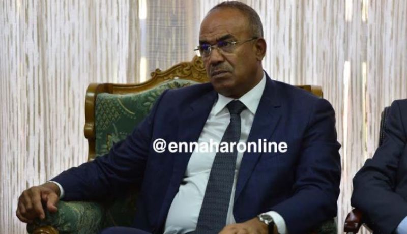 بدوي في زيارة إلى النيجر