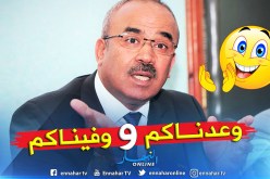 لجنة وزارية مشتركة بتمنراست تسجيدا لالتزامات بدوي أمام مواطني المنطقة