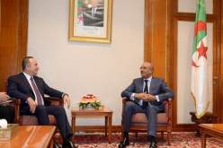 بالصور.. بدوي يستقبل جاويش اوغلو