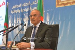 ترسيم 12 جانفي يوما وطنيا.. اعتراف حقيقي لترقية اللغة الأمازيغية