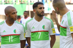 شعار الخضر .. الحرب في الندوات والملعب للصفعات!!