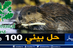 بريطانيا تستعين بالقنادس لمواجهة التقلبات المناخية