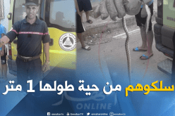 بالصور.. القضاء على حية طولها 1 متر بسعيدة
