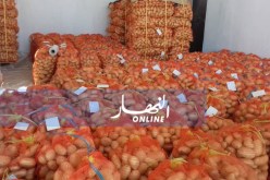 الوادي.. تواصل دفعات تصدير البطاطا إلى جزر الكناري