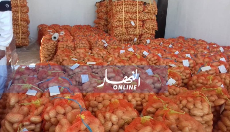 الوادي.. تواصل دفعات تصدير البطاطا إلى جزر الكناري