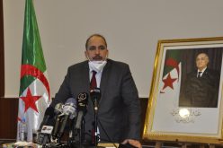 أبو الفضل بعجي ينشط تجمعين بكل من قسنطينة وسكيكدة