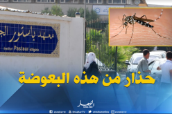 النفايات المنزلية والمياه الراكدة سبب انتشار بعوض النمر