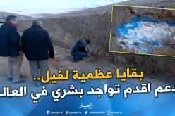 بالصور ..اكتشاف بقايا عظمية لفيل تعود لعصر ما قبل التاريخ بسطيف