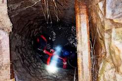 تيارت.. أعوان الحماية ينقذون بقرة سقطت في بئر بمنطقة الخواطرية