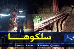 بالصور.. إنقاذ بقرة علقت ببئر عمقه 10 أمتار بمستغانم