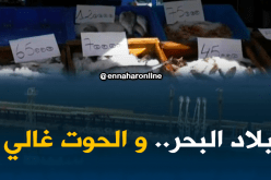 سكيكدة: أسعار السمك ترتفع في ولاية تحظى بأطول شريط ساحلي..