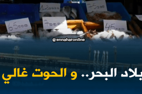 سكيكدة: أسعار السمك ترتفع في ولاية تحظى بأطول شريط ساحلي..