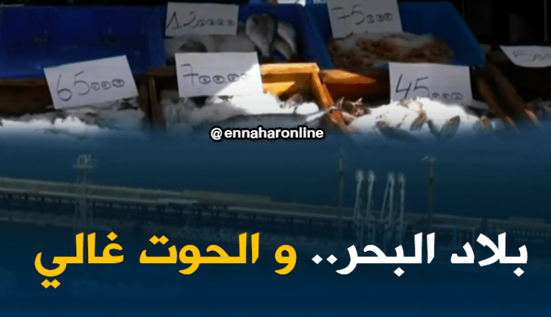 سكيكدة: أسعار السمك ترتفع في ولاية تحظى بأطول شريط ساحلي..