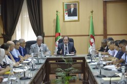 بلعابد يؤكد على إلزامية تجنّد الجميع من أجل دخول إجتماعي ناجح