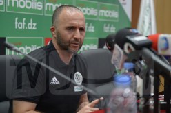 بلماضي يُشيد بـ “رباعي” الخضر !