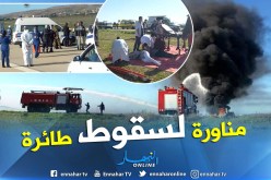 قتلى وجرحى في سقوط طائرة بمطار الشلف.. إفتراضيا