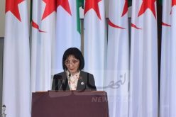 بن حراث: الحرائق التي عرفتها غابات الوطن جريمة في حق الانسان والبيئة