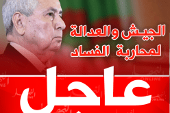 بن صالح: عملية تطهير الدولة عرفت تقدما ملحوظًا بفضل الجيش وقطاع العدالة