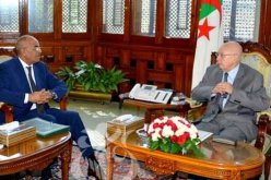 هذه محاور لقاء بن صالح بنور الدين بدوي