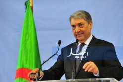  علي بن فليس «ترشح تبون للرئاسيات يعني الدخول في عهدة خامسة باسم جديد»