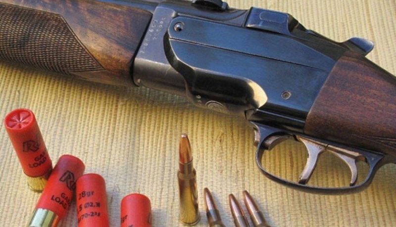 حجز 11 بندقية صيد من دون رخصة بتيسيمسيلت