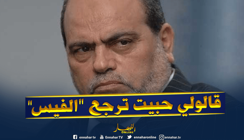 سلطاني يروي تفاصيل الإعتداء عليه بباريس