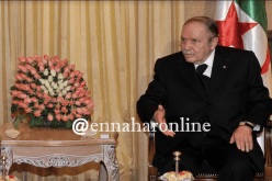 بوتفليقة: الدولة ستبقى حريصة على دعم القطاع الفلاحي