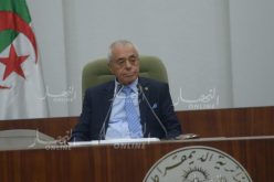 بوشارب: “مطلبنا واحد وهو إستقالة السعيد بوحجة”