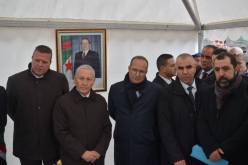 بوعزغي: لجنة يقظة ومتابعة للحمى القلاعية وطاعون المواشي