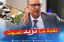 بوعزقي: توفير ما يكفي من اللقاح للقضاء على طاعون المجترات الصغيرة