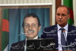 بوعزقي: الجزائر توقفت عن استيراد اللحوم البيضاء