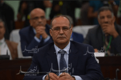 بوعزقي يدعو إلى تشجيع الإستثمار الخاص لتطوير الإنتاج الفلاحي المحلّي