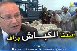 بوعزقي: لدينا 35.5 مليون رأس ماشية ومليون بقرة و450 ألف رأس إبل