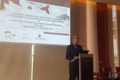 بالصور.. إختتام برنامجان لوزارة البيئة بالتعاون مع “GIZ” الألمانية